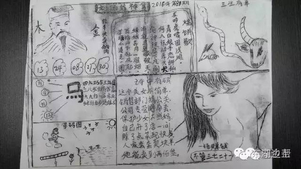 关于管家婆白小姐四肖四码的解读与词语释义落实的探讨