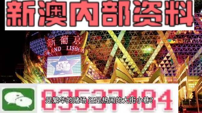 新澳门精准免费大全，一网打尽攻略秘籍