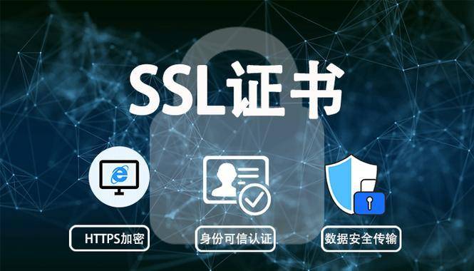 澳门王中王资料论坛，定量解答、解释与落实的重要性