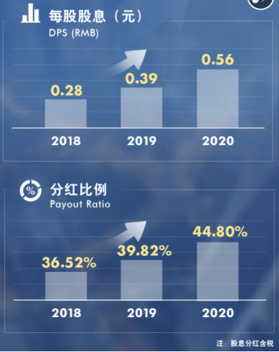 一肖三码与统计解答解释落实，深入探究与实践应用