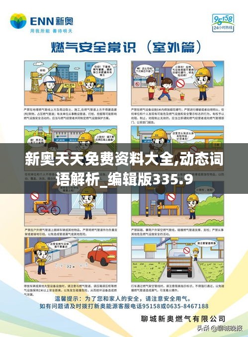 关于新奥天天全年免费大全的实时解答与解释落实