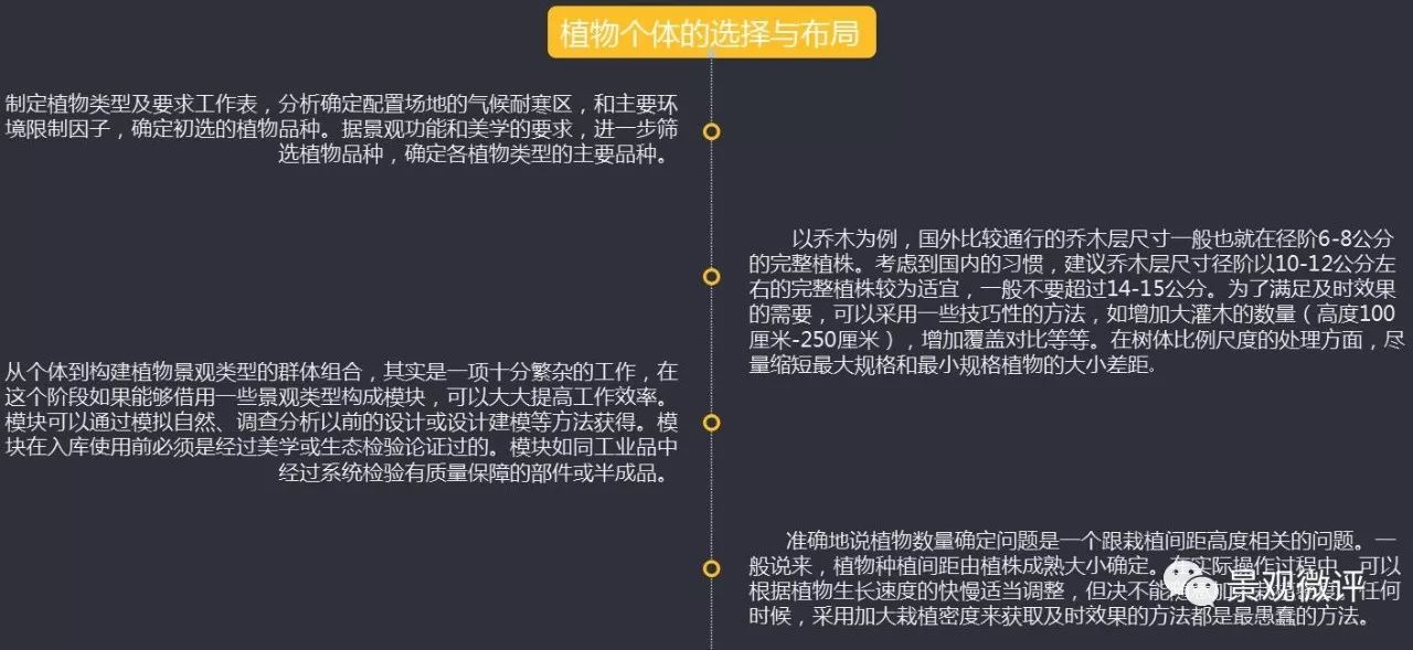 一码一肖，深度解析与落实解答解释策略