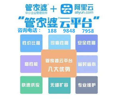 澳门管家婆，揭秘精准解答与准确落实的秘诀
