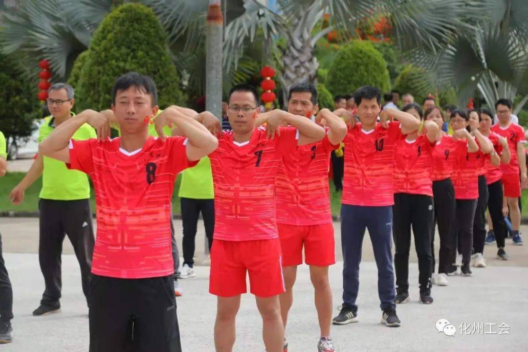 澳门资料免费大全，时代解答下的深入解析与落实行动