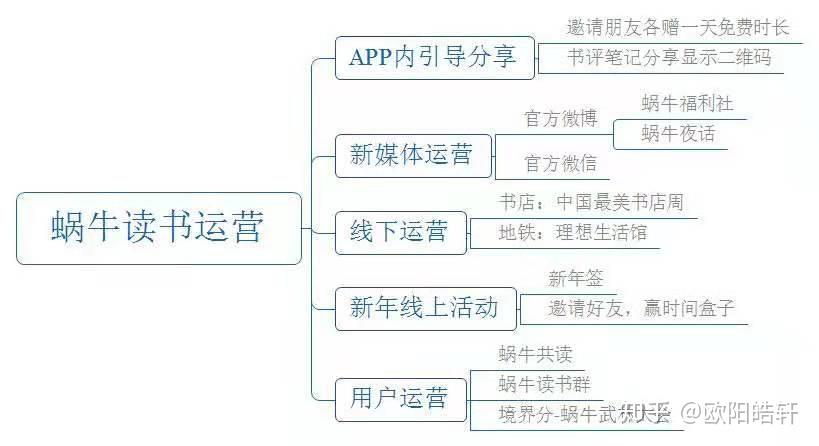 一码一肖一特一中实证解读，落实策略与实践路径