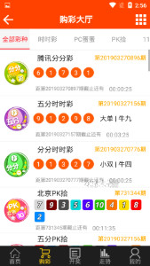 王中王三肖三码三期内必中，精准解答、解释与落实