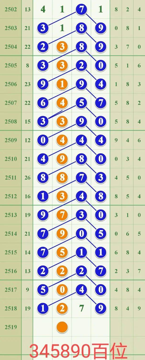 探索数字之谜，关于555525王中王四肖的统计解答与深入解释