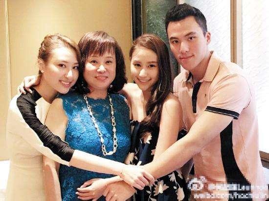 澳门四不像正版揭秘，深度解析与详细解答