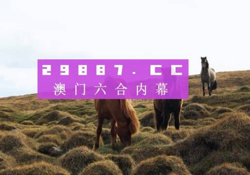 关于香港内部最准的一肖一码及实时解答解释的探讨