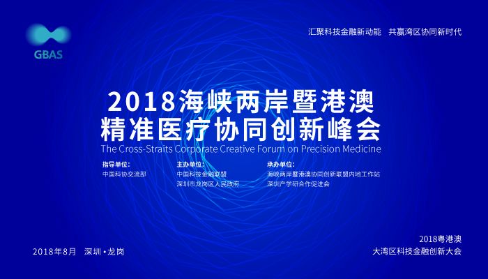 新澳门最精准正最精准，前沿解答解释落实的探索之旅