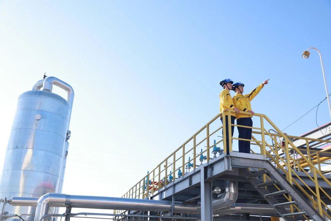 新奥天天全年免费大全，实时解答、解释与落实