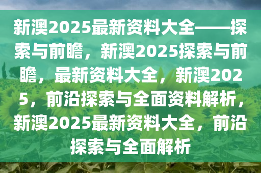 新澳2025精准正版免费资料与解答解释落实——探索未来的指引