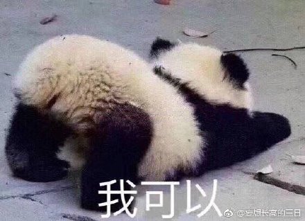 今晚四不像一肖图，解答、解释与落实