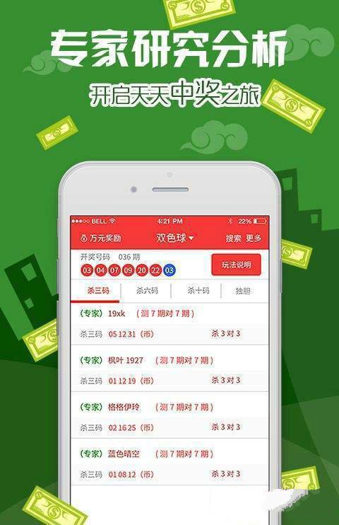 关于澳门王中王资料精准解答与落实的探讨