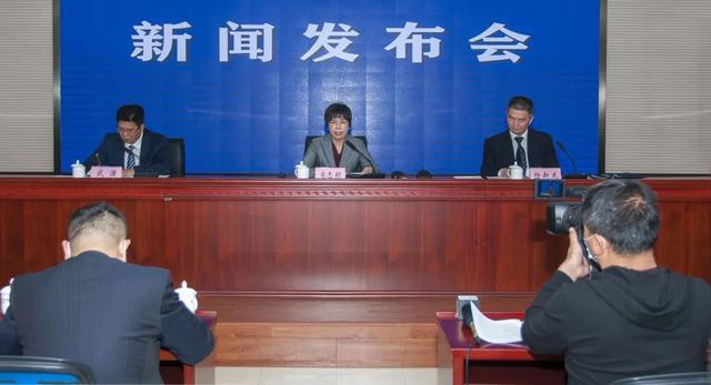 高效执行，细化任务落实，王中王一肖一中一特一中之路至2025
