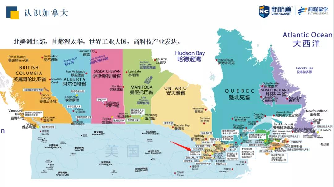 关于新澳精准资料免费提供的综合解答与落实，展望未来的数据共享与知识普及之旅