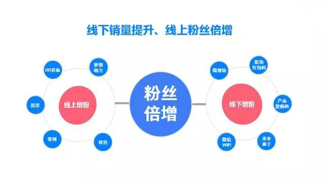 一码一肖期期公开中特，深度解答解释与落实的策略