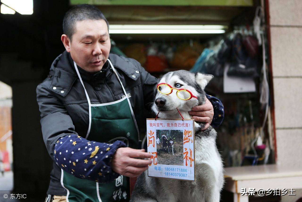 关于精准免费四肖最新调查，策略制定与实施