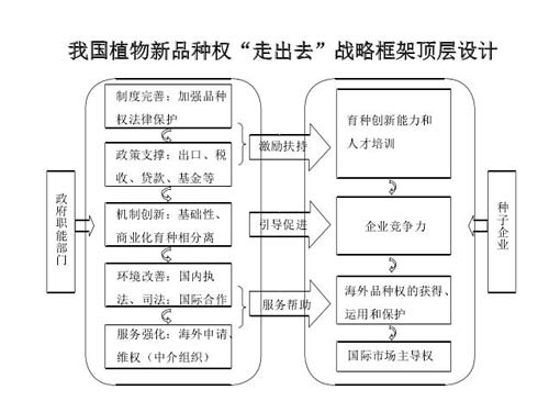 一码中持一一肖一子精选解析，落实策略与实践路径
