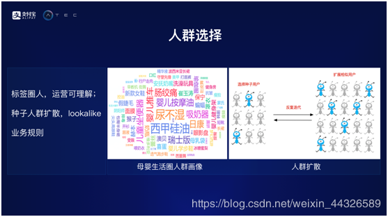 摇钱树四肖四码精准资料与专家解答解释落实的探索之旅