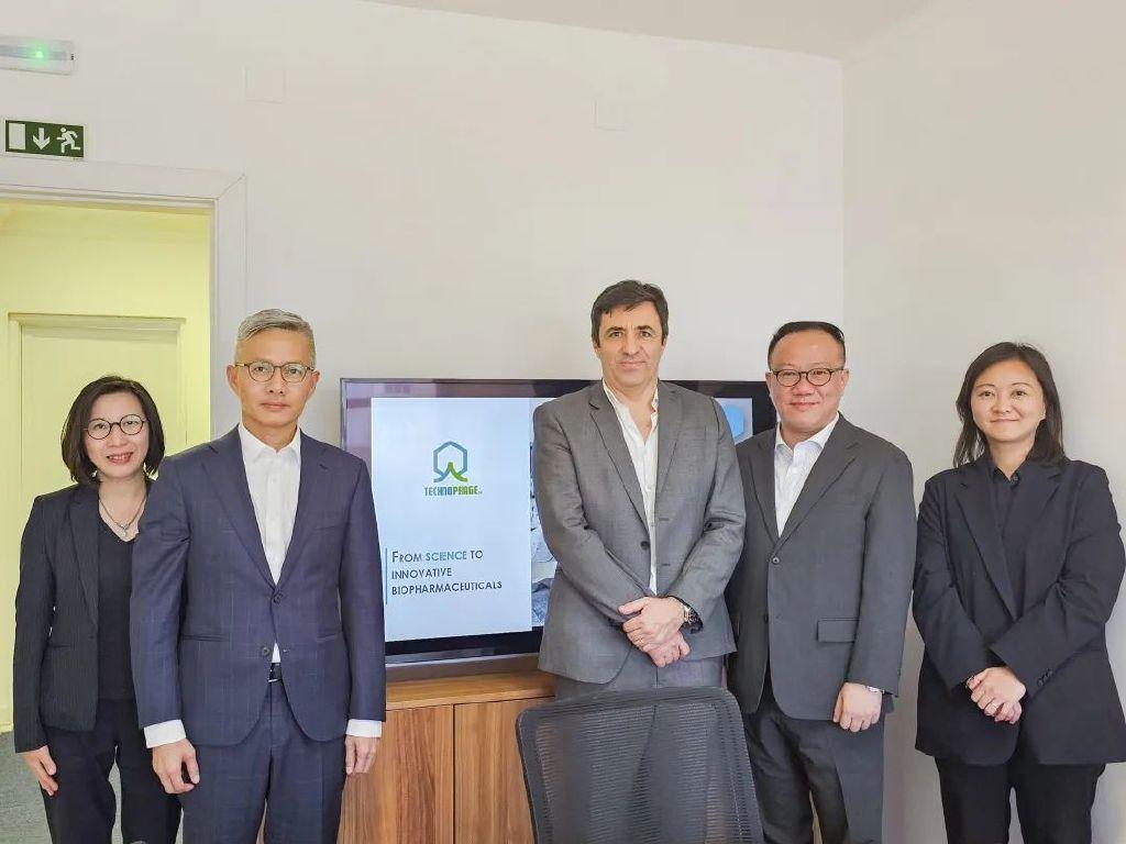 澳门正版免费精准大全，构建解答解释落实的策略与路径探索