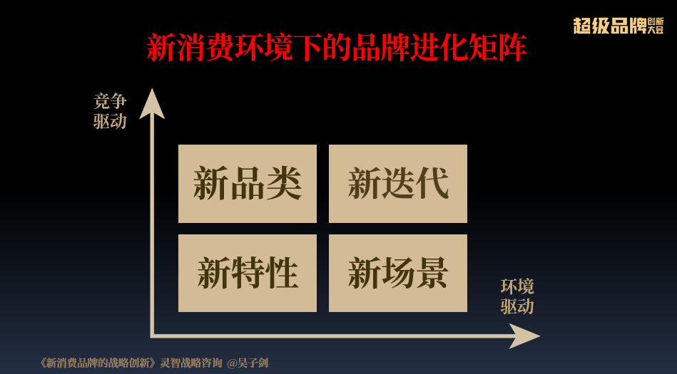 澳门王中王六码新澳门与专家解答解释落实，深度探讨与解析