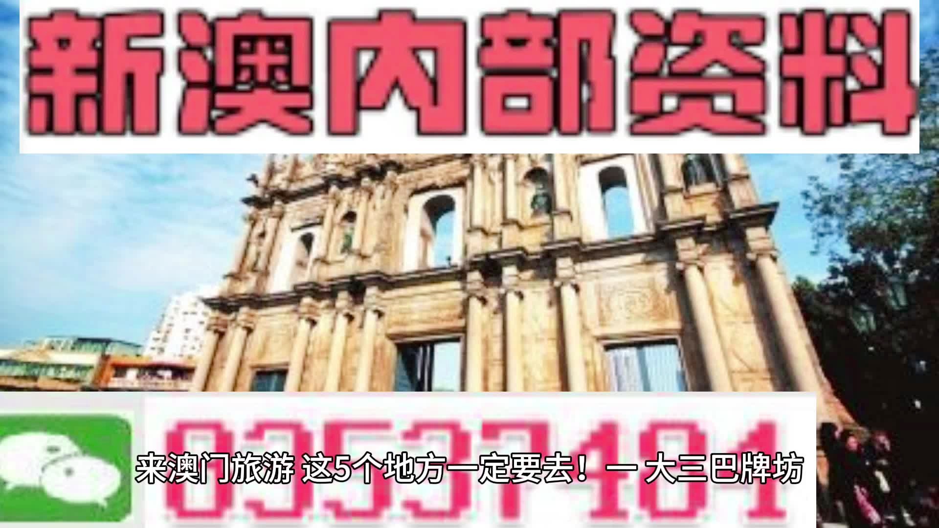 新澳门今晚必开一肖一特，全面解读与解释落实