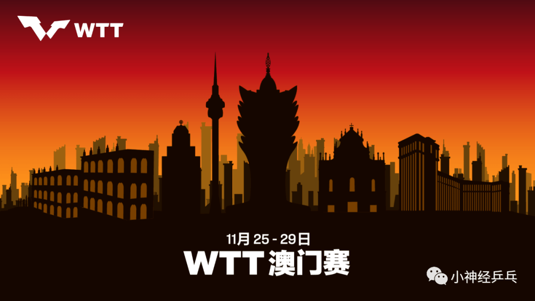 新澳门三期内必开一肖的深度解答与解释