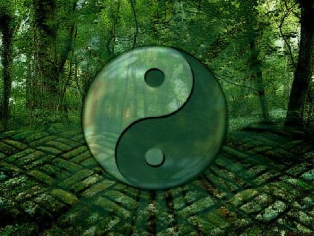 揭秘精准预测的秘密，一码一肖的精准预测之道