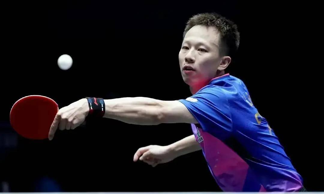 新澳门2024年正版免费公开，全面释义、解释与落实