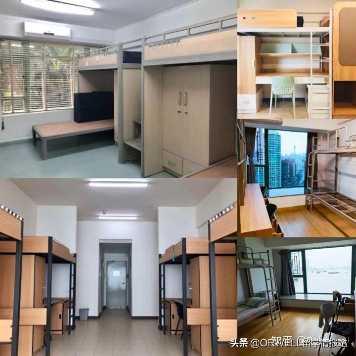 新澳门与香港的未来展望，实证释义、解释与落实的探讨（2025年视角）