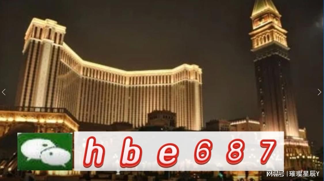 新澳门资料大全正版资料，探索与解读（XXXX年展望）