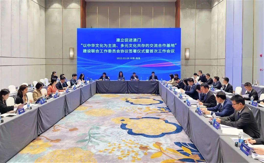 澳门天天免费精准大全，构建解答解释落实策略