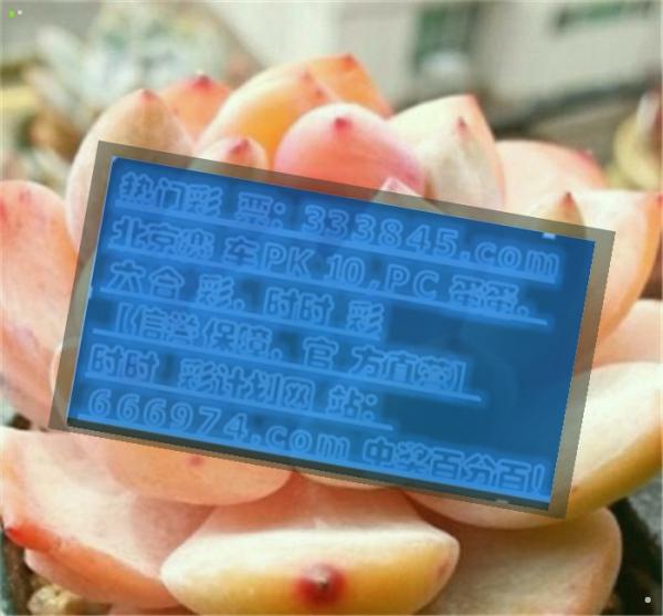 澳门管家婆肖一码全面解读与解答落实方案