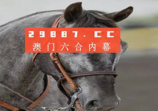 澳门一一码一特一中准选今晚，详细解读与解析