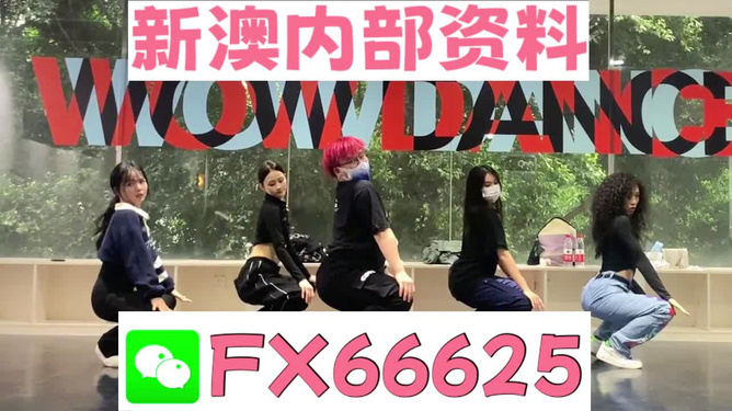 一码一肖，精准解读与落实的探讨