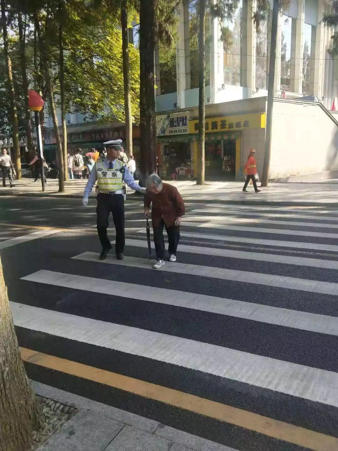 一码一肖，揭秘背后的统计解答与资料落实