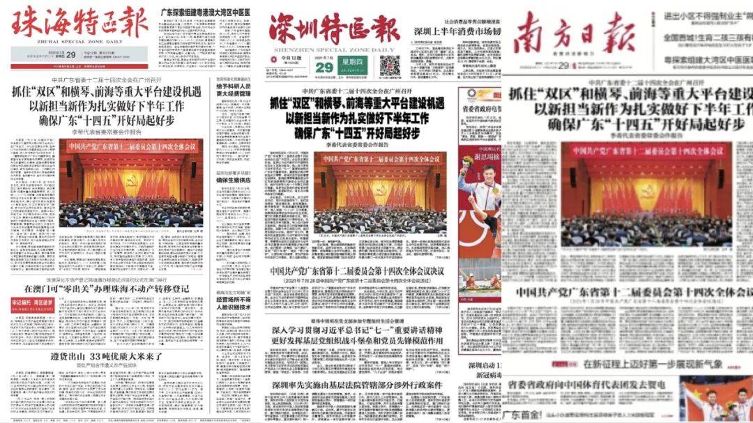 新澳门今晚必开一肖一特，深度解析与解读