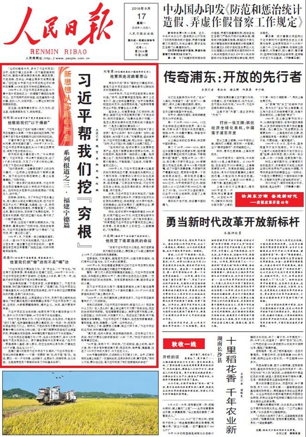 新澳门三期内必中一期，全面解答、解释与落实
