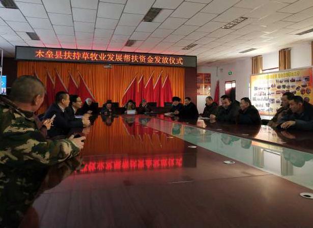 关于新澳精准免费大全的深度解答与落实策略分析