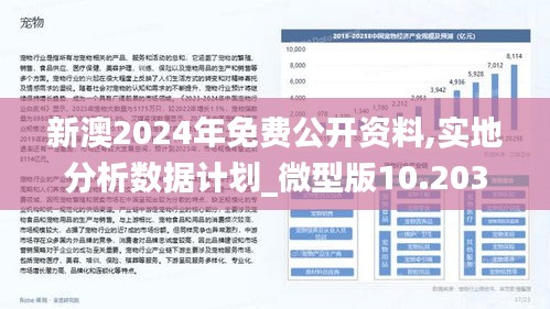 关于新澳精准免费大全的深度解答与落实策略分析