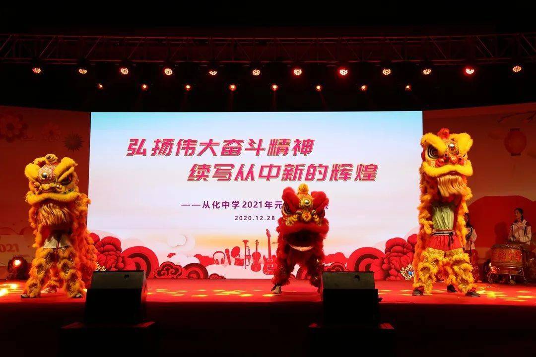 澳门天天好彩，精彩纷呈活动展望与回顾